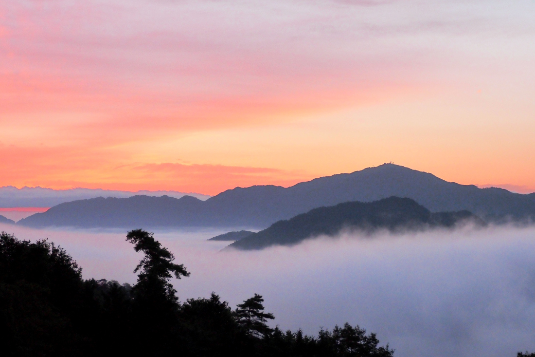 雲海 　　　兵庫県_d0286954_03513293.jpg