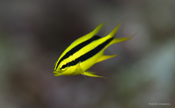 ラストスヌート_e0158261_06520042.jpg