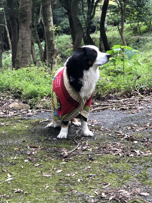 後期引き落としについて_b0193476_10112276.jpeg