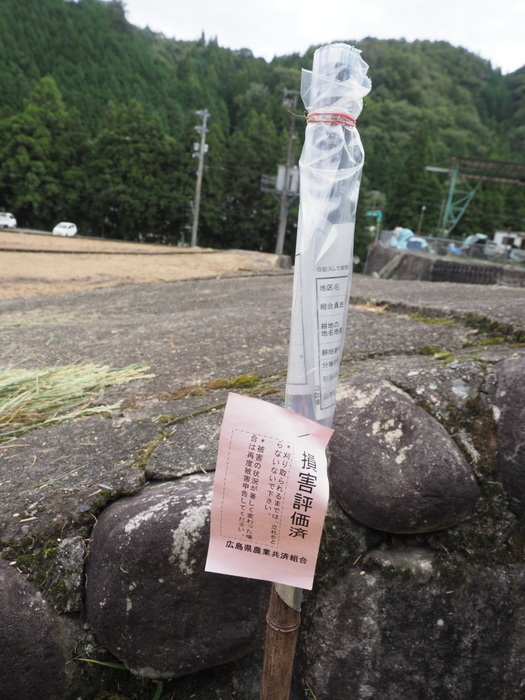 今日も稲刈り_c0116915_00025498.jpg
