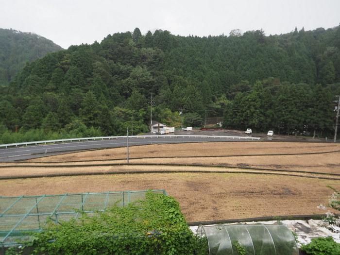 曇り時々晴れ一時雨_c0116915_23584954.jpg