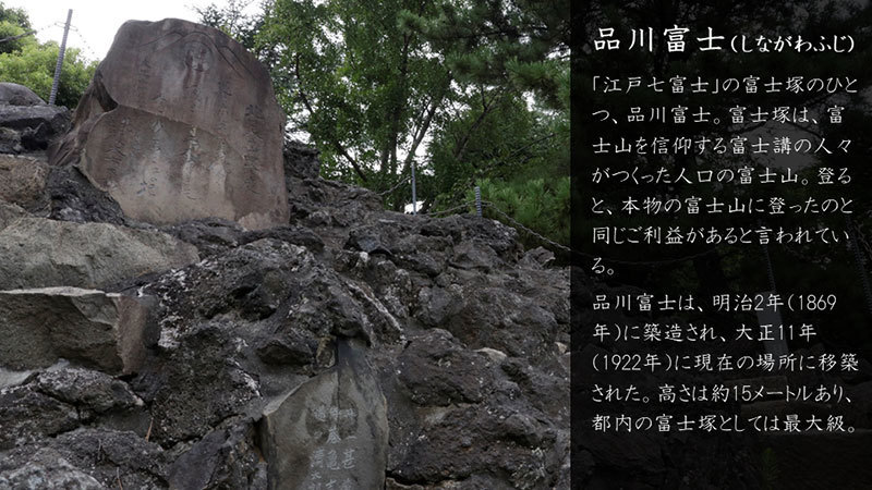 ここ3か月の「登らない山登り」いろいろ_c0060143_21415504.jpg