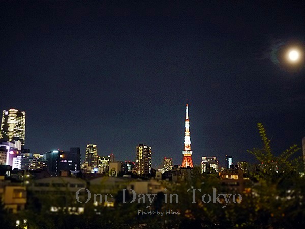One Day in Tokyo: お月様と東京タワー_f0245680_22325790.jpg