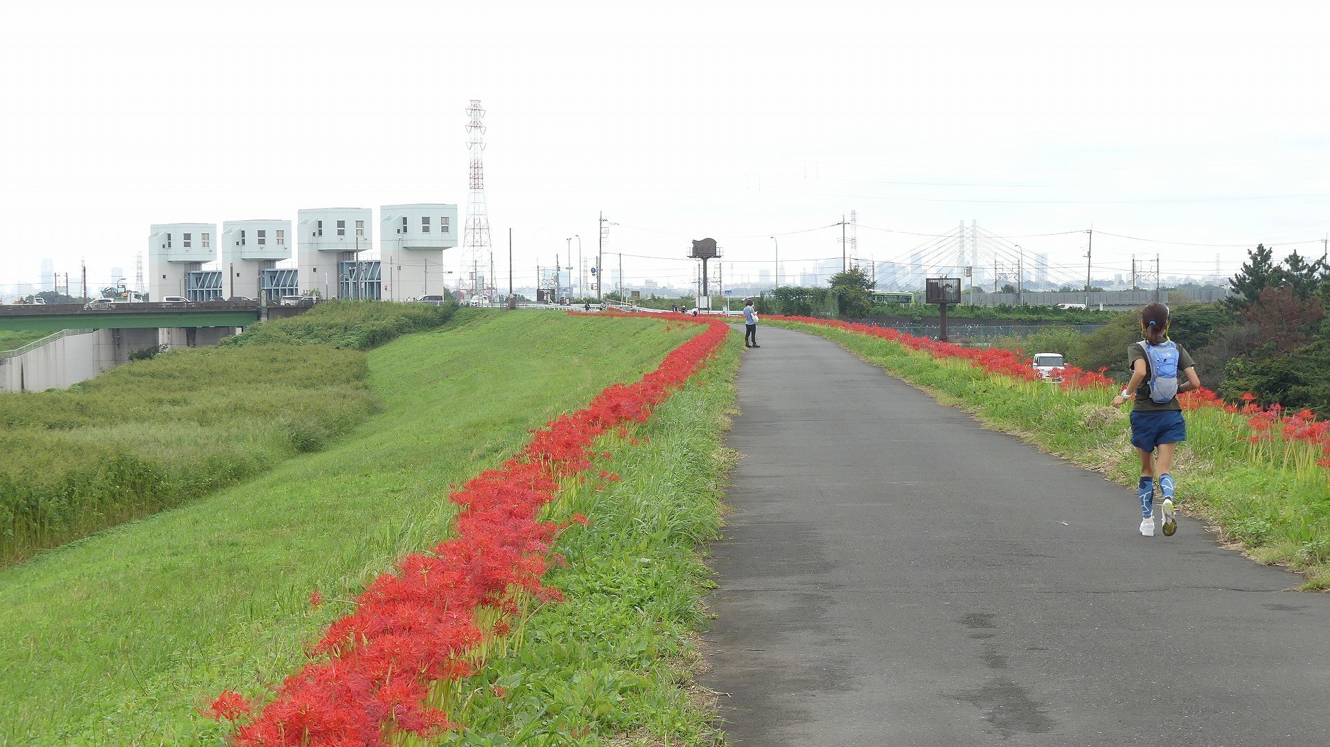 4Kポタリング　曼珠沙華の土手を行く！_a0185081_15364571.jpg