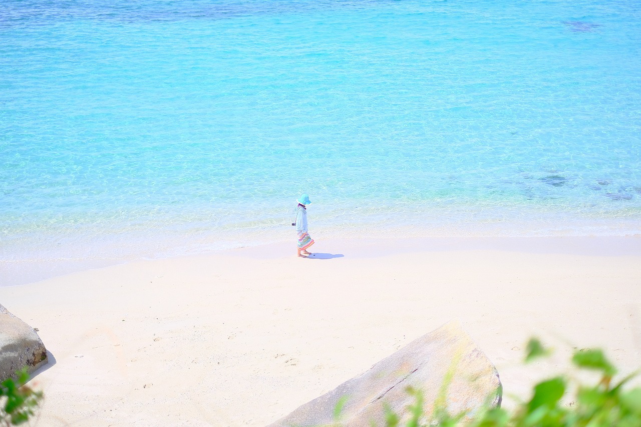 高知県柏島で「水中フォトセミナー」を開催します!_c0073387_21150163.jpg