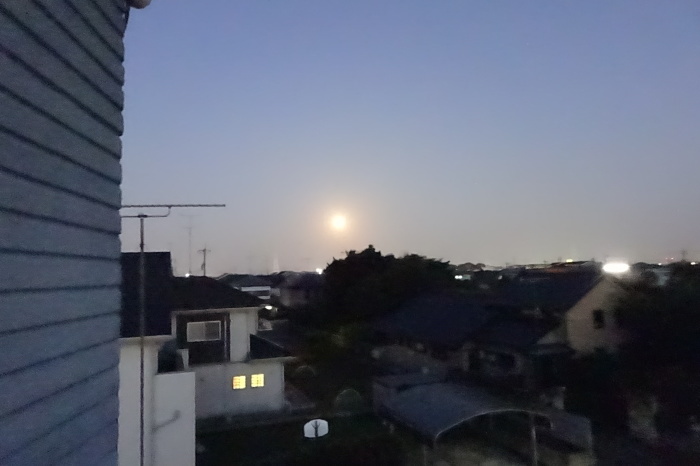 中秋の名月・・・(4414)_e0349324_20161279.jpg