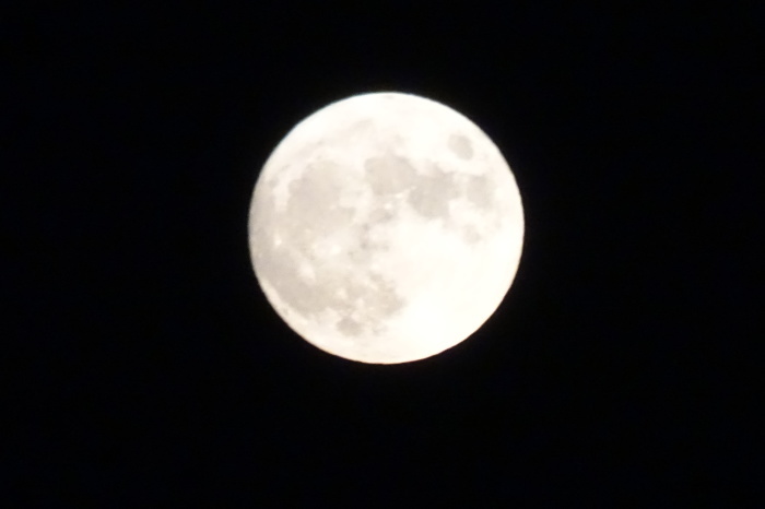 中秋の名月・・・(4414)_e0349324_20163817.jpg