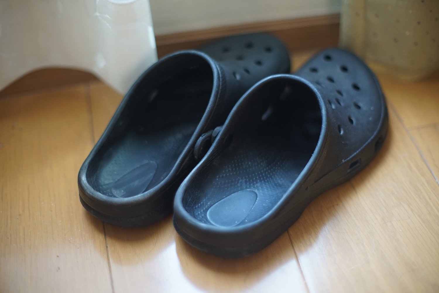 旧ニッコール 55mm F1.2 で 暗い写真を_b0069128_11031066.jpg