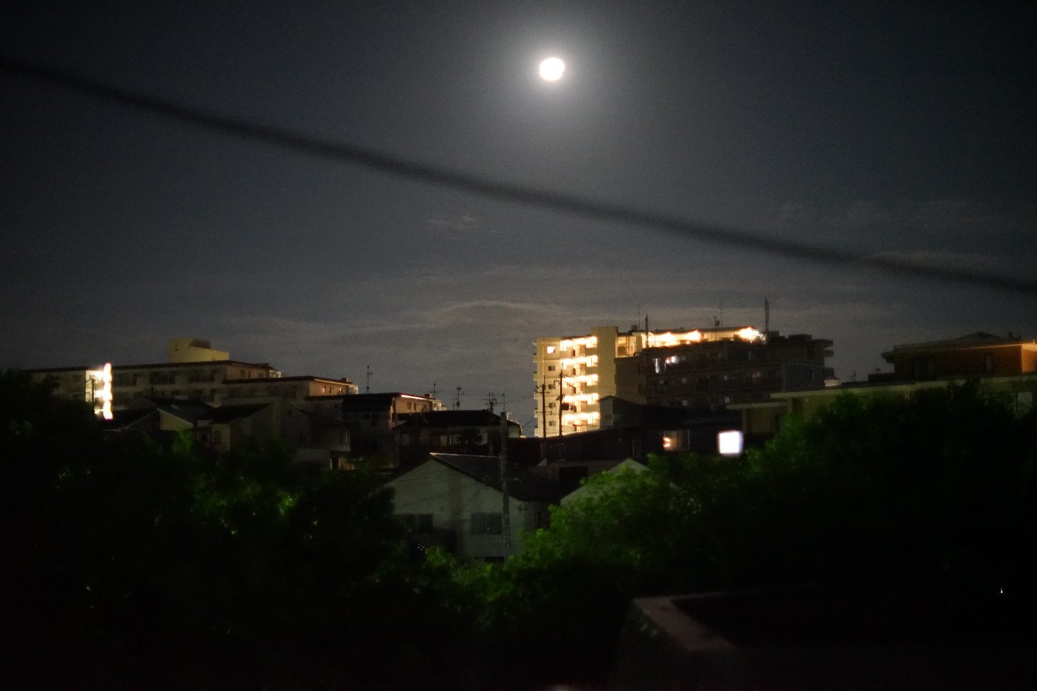 旧ニッコール 55mm F1.2 で 暗い写真を_b0069128_11032280.jpg