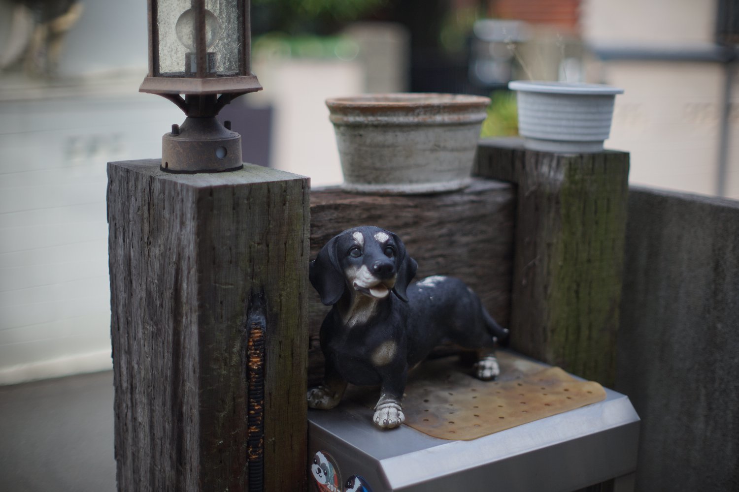 旧ニッコール 55mm F1.2 で 暗い写真を_b0069128_11033740.jpg