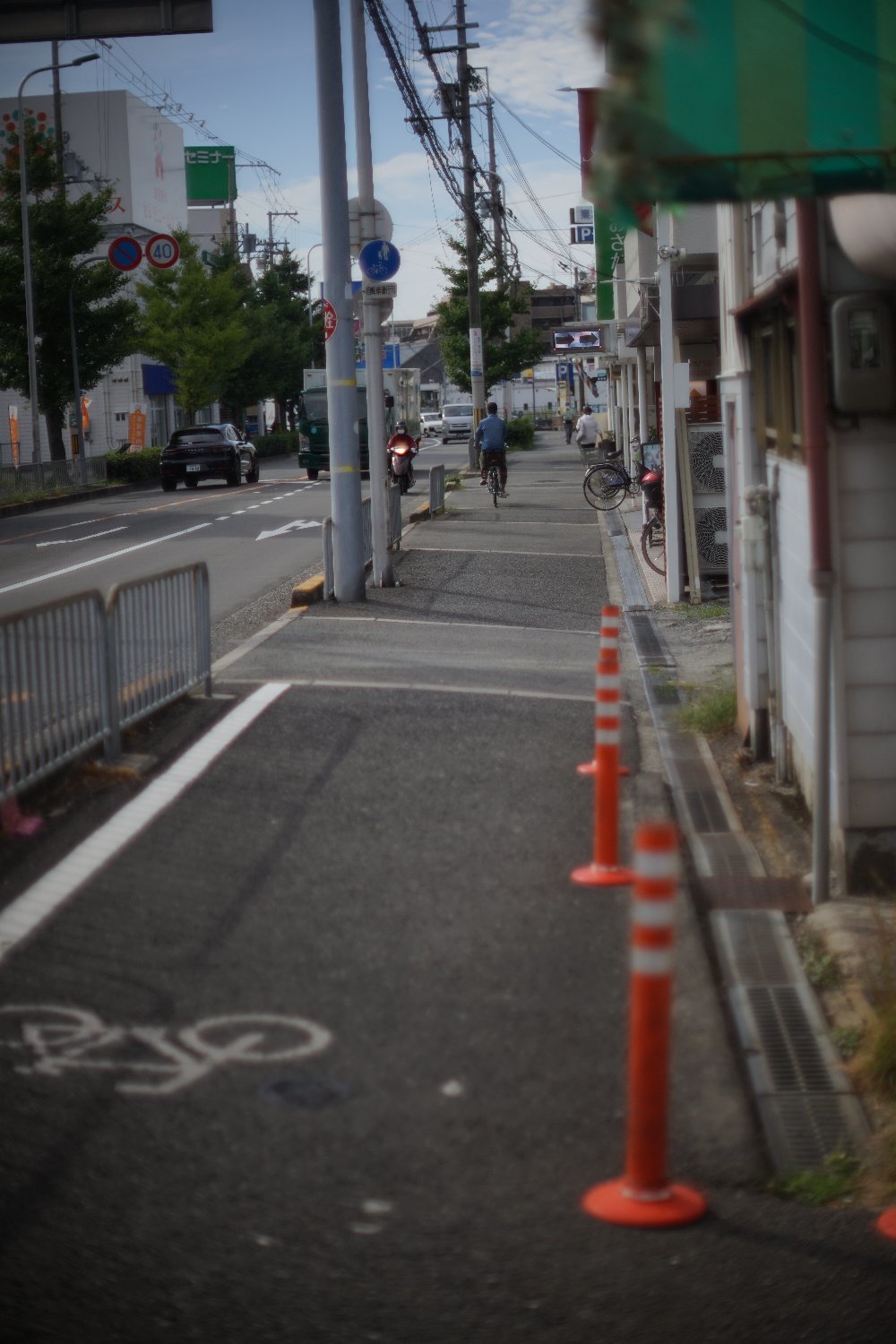旧ニッコール 55mm F1.2 で 暗い写真を_b0069128_11034309.jpg