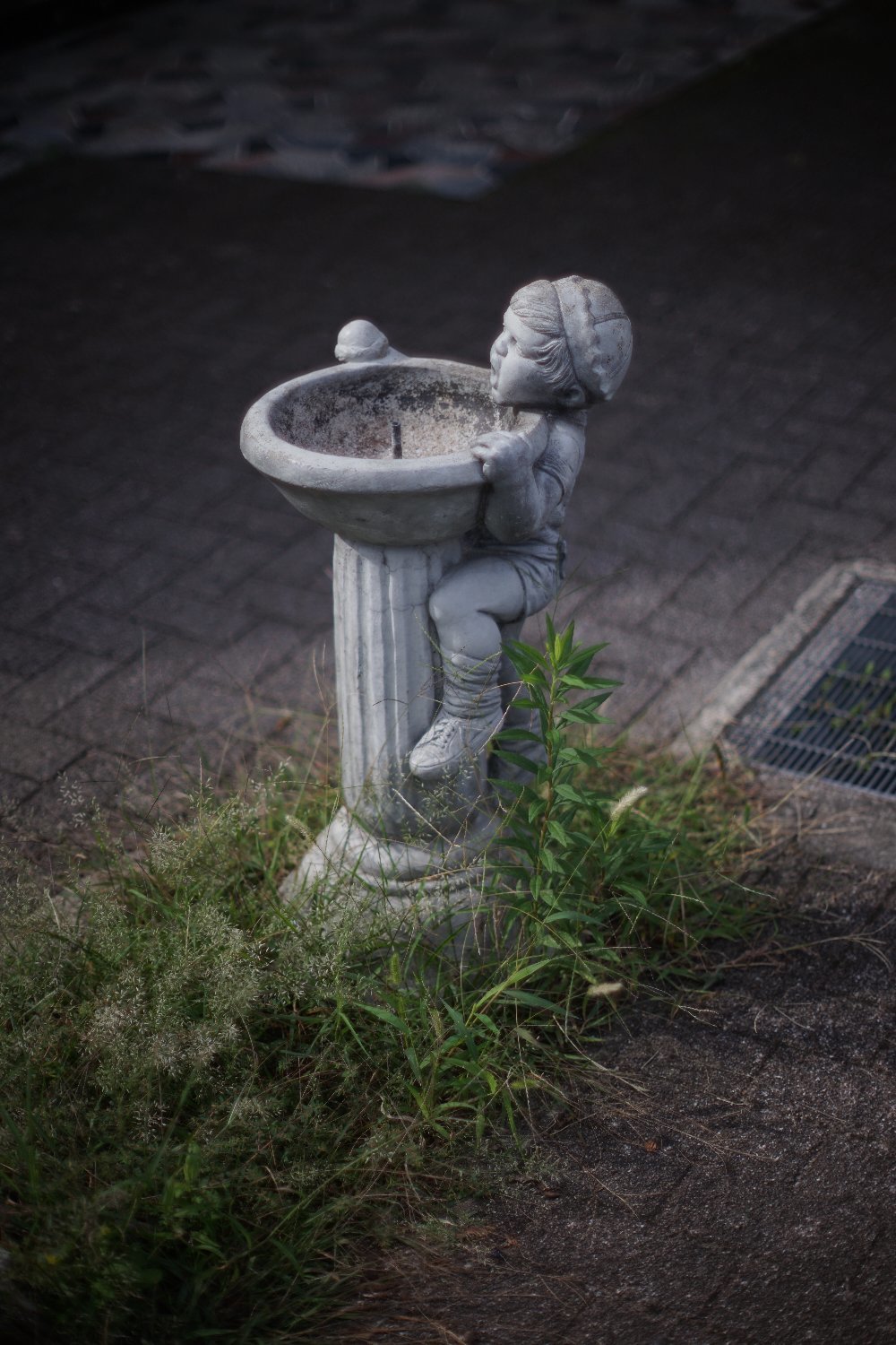 旧ニッコール 55mm F1.2 で 暗い写真を_b0069128_11034835.jpg