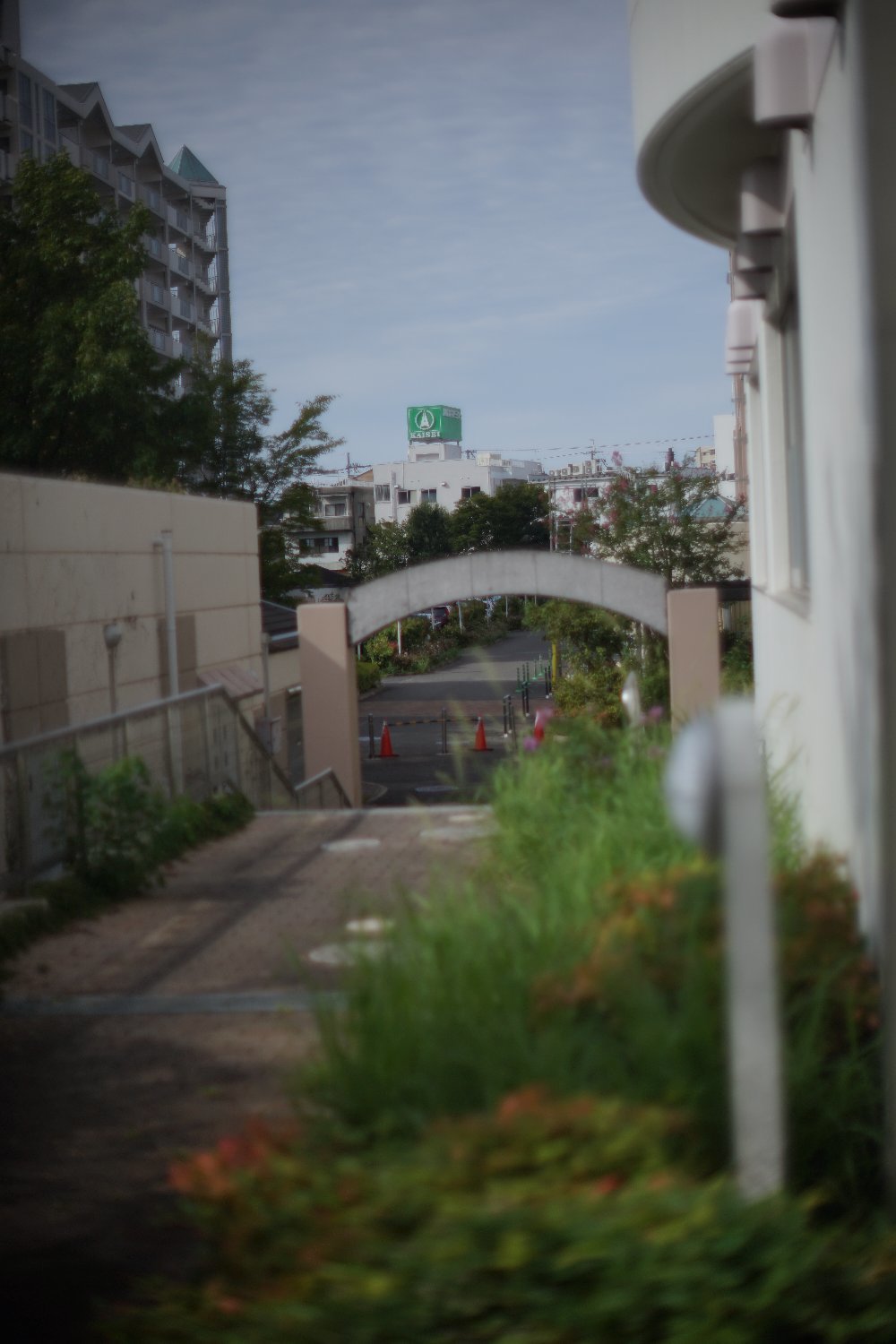 旧ニッコール 55mm F1.2 で 暗い写真を_b0069128_11035892.jpg
