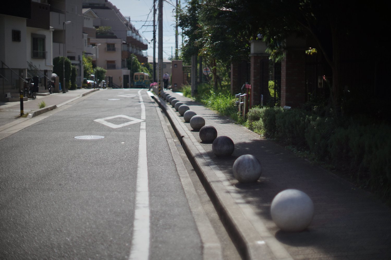 旧ニッコール 55mm F1.2 で 暗い写真を_b0069128_11042608.jpg