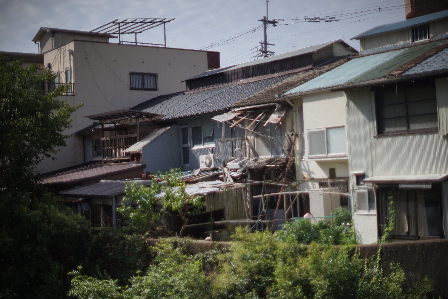 旧ニッコール 55mm F1.2 で 暗い写真を_b0069128_11043068.jpg