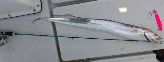 鳥羽ジギングパトロール❔❕❕_e0212944_7295186.jpg
