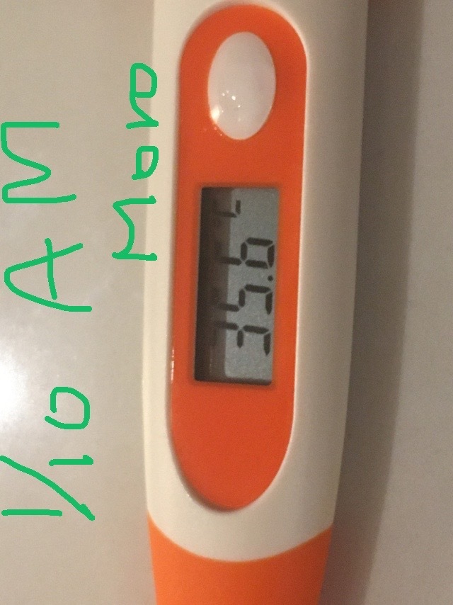 中秋の名月(タイのホテルの窓から)_b0100062_12331589.jpeg