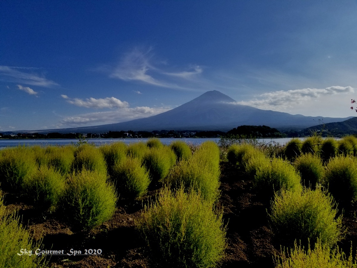富士山 を見にドライブに行った日 その3 河口湖 大石公園花街道 へ 年9月 空とグルメと温泉と 富士山 を見にドライブに行った日 その3 河口湖 大石公園花街道 へ 年9月 空とグルメと温泉と