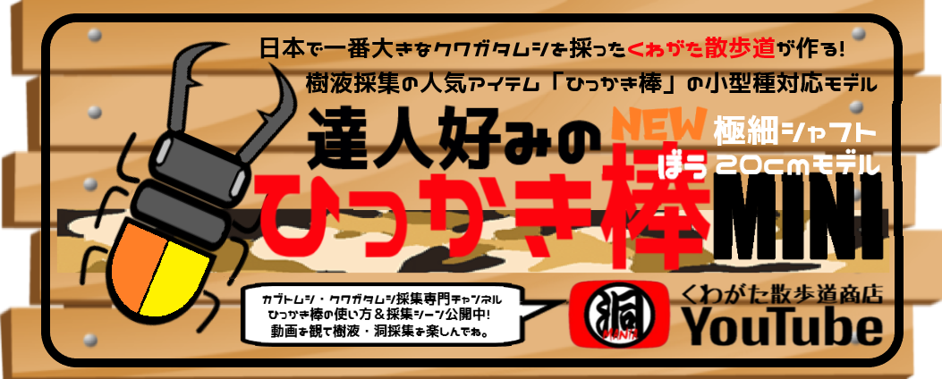 くわがた散歩道商店 ネットショップ 達人好みのひっかき棒mini 天然大型ヒラタ追加ラインナップ くわがた散歩道