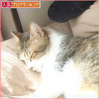 おばあちゃんの猫だんご_a0389088_17111699.jpg