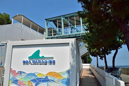 横浜・八景島シーパラダイスの苦闘の繁殖記録 ～ チャンスを生かせなかったペア_a0151913_18510242.jpg