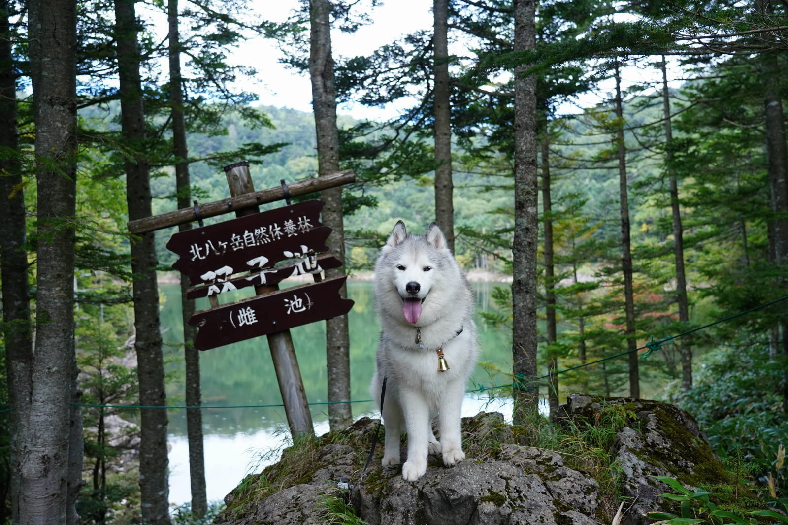 双子池をくるっとお山散歩_b0207615_15553231.jpg