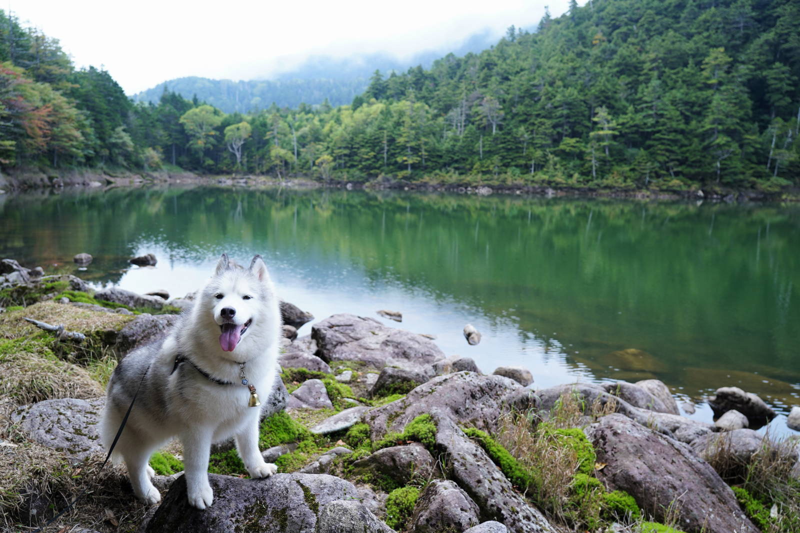 双子池をくるっとお山散歩_b0207615_15553236.jpg