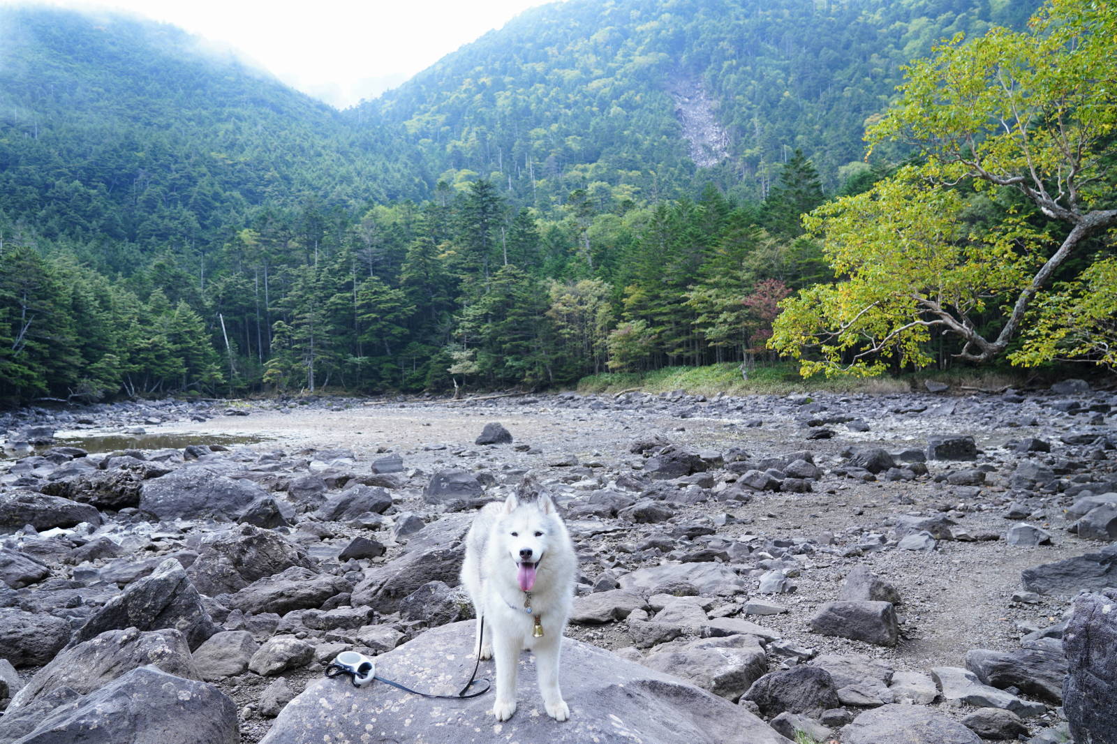 双子池をくるっとお山散歩_b0207615_15560926.jpg
