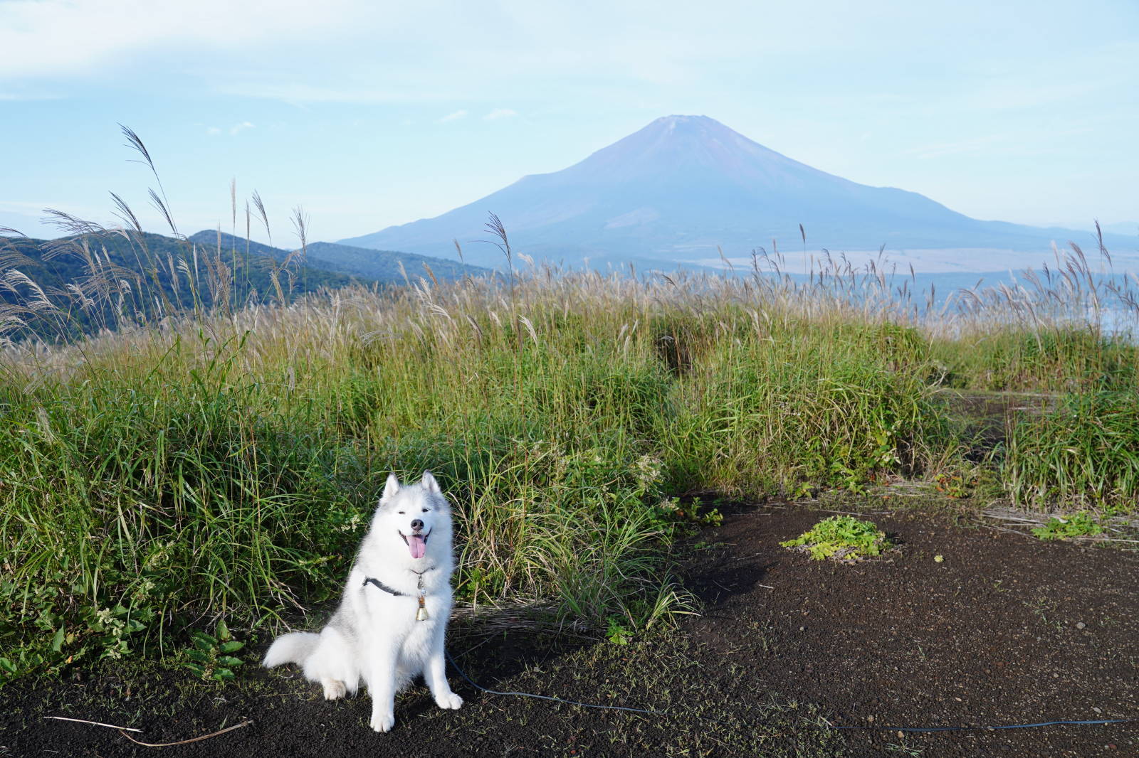 三国山でご機嫌ハイキング_b0207615_15561059.jpg