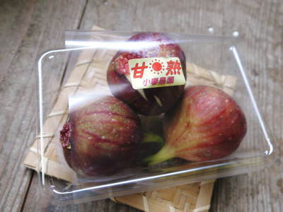 甘熟いちじく 令和2年度も完売御礼!本日の出荷分で今期の発送は終了しました!_a0254656_19025259.jpg