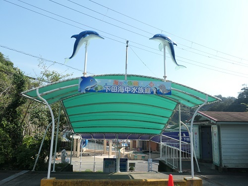 下田 海中 水族館