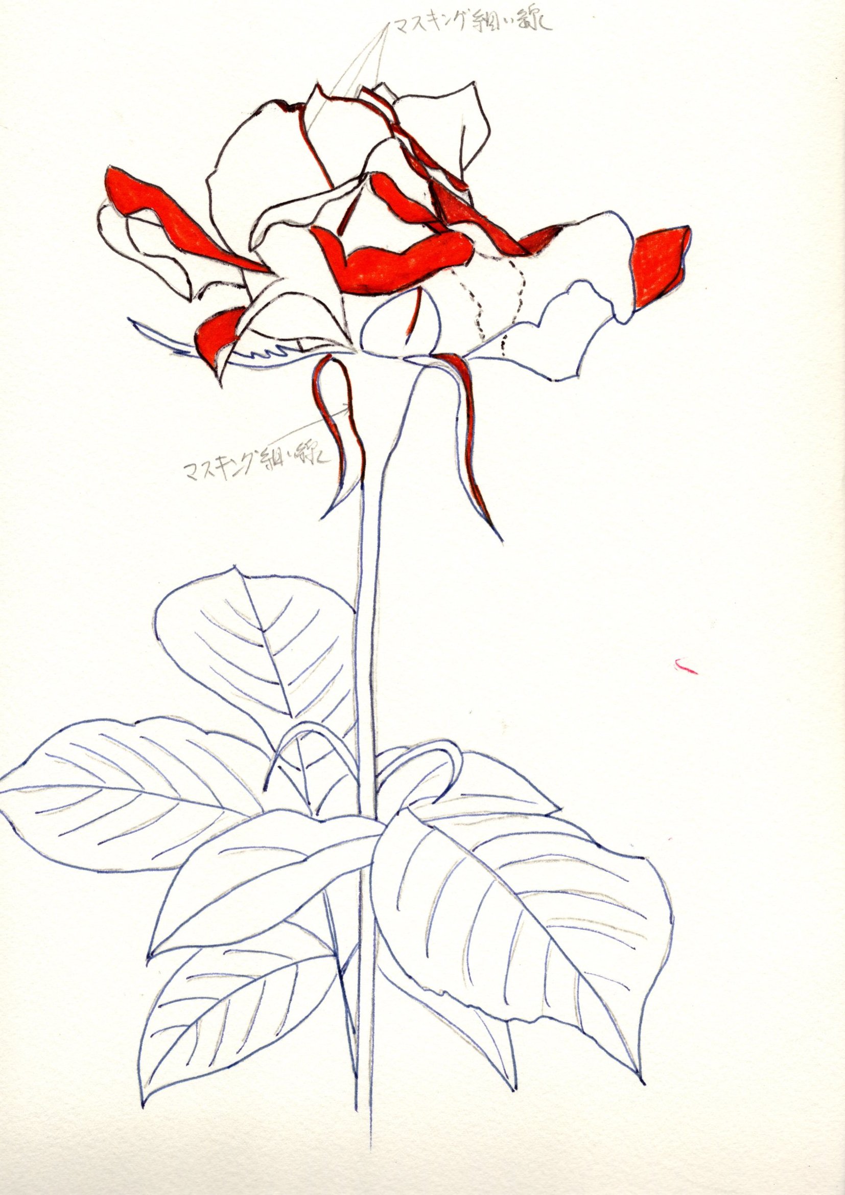 9月の教室課題 薔薇を描く（啓子おばさんの水彩レッスン） : 小林啓子