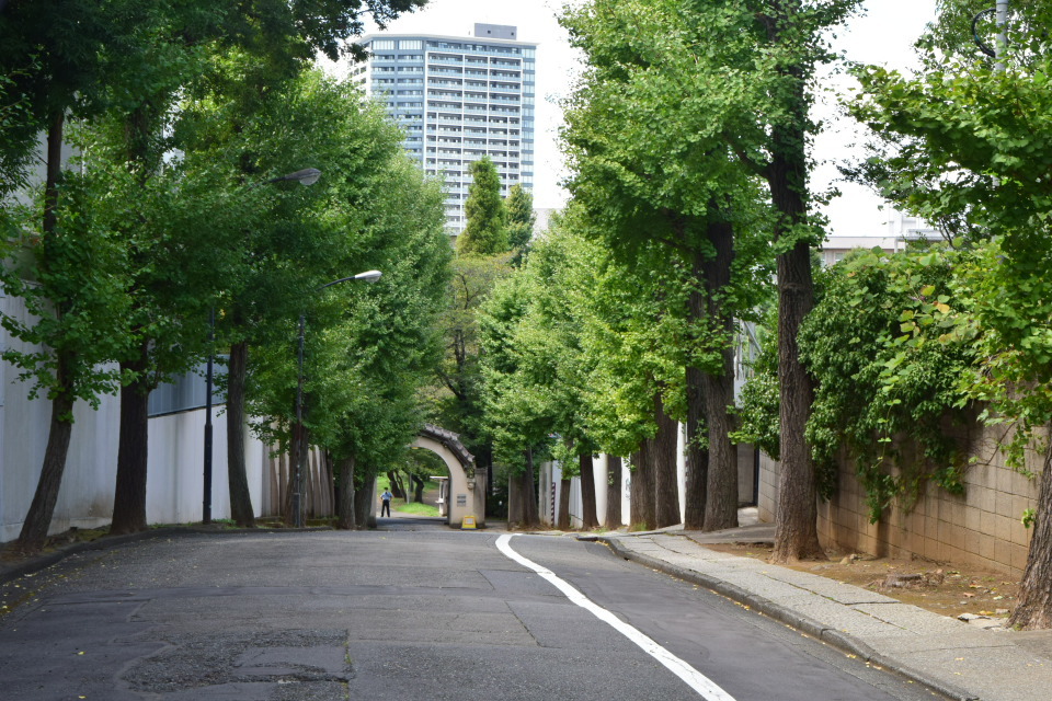 東京港区の聖心女学院正門(明治モダン建築再訪)_f0142606_07463368.jpg