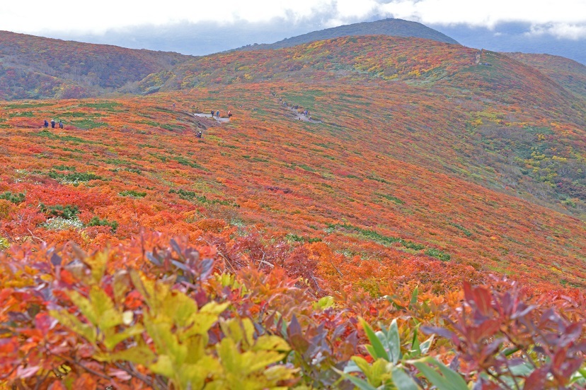 栗駒山の紅葉を見てきました_e0349817_19342347.jpg