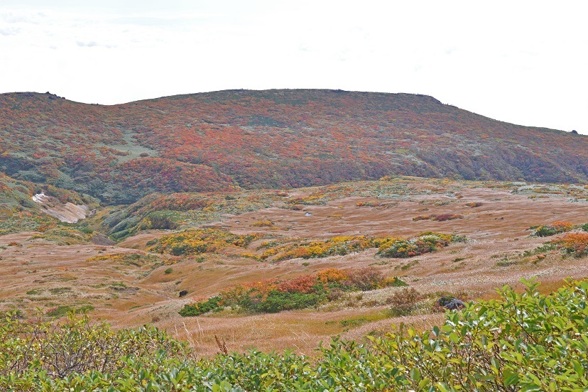 栗駒山の紅葉を見てきました_e0349817_19350982.jpg