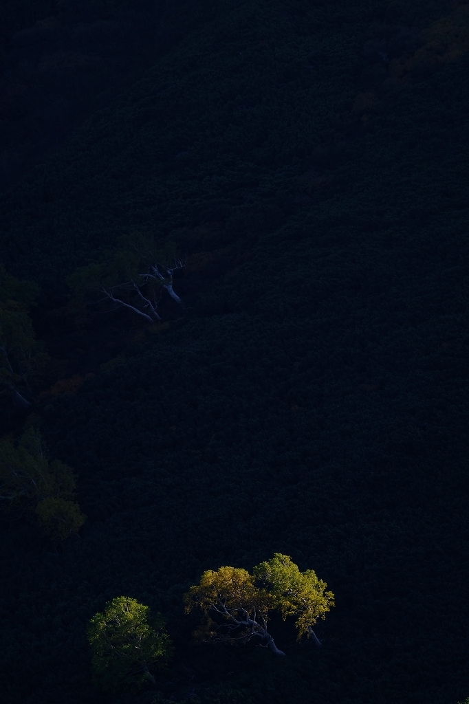 乗鞍　紅葉　2020/10/02_f0050534_16121573.jpg