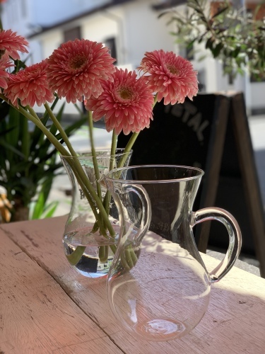 VOL116 「Flowers &Plants PETAL.」_a0123451_21274569.jpeg