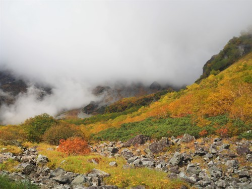 上高地～涸沢　紅葉散策　　2020.9.30～10.１_b0335256_11065082.jpg