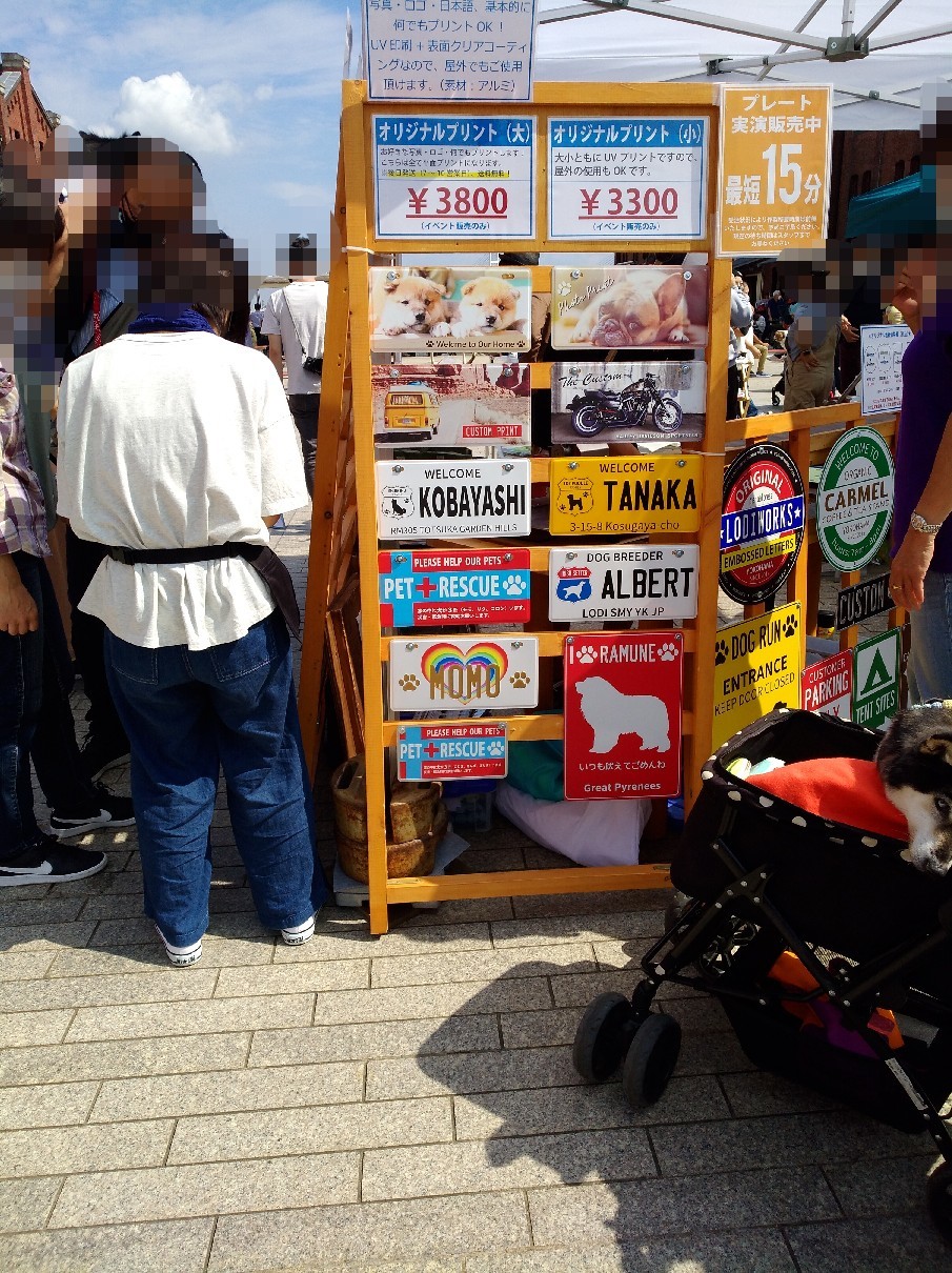 赤レンガのドッグキャラバン_e0109163_13584234.jpg