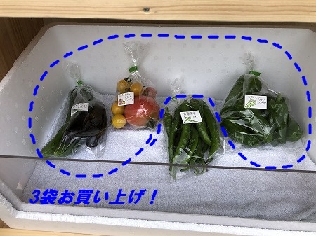 100円無人販売での出来事。_d0251572_23205853.jpg