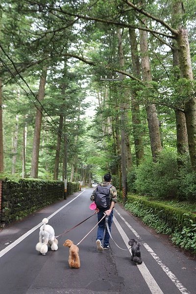 雲場池 くもばいけ 軽井沢旅行９ うちにかえろう