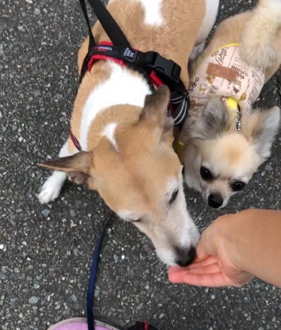 トレーニングブログ_f0357682_00030881.jpeg
