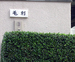 どうせ歩くなら_d0085887_23145881.jpg