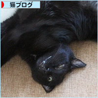 ヒナの病院_a0389088_09331635.jpg