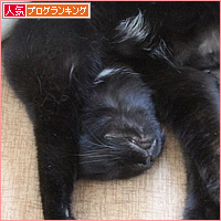 ヒナの病院_a0389088_09331692.jpg