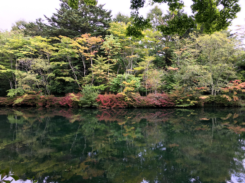 軽井沢の秋散歩_e0277800_15300156.jpg