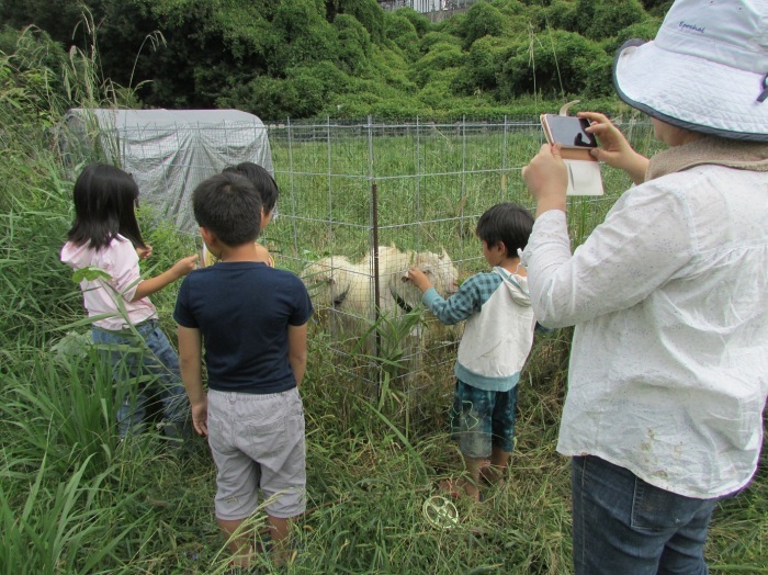 稲刈りをしました_b0175921_22172637.jpg