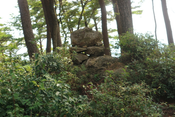 木の名前を学習しながら登った鳥屋城跡（城山）_e0272335_05470051.jpg