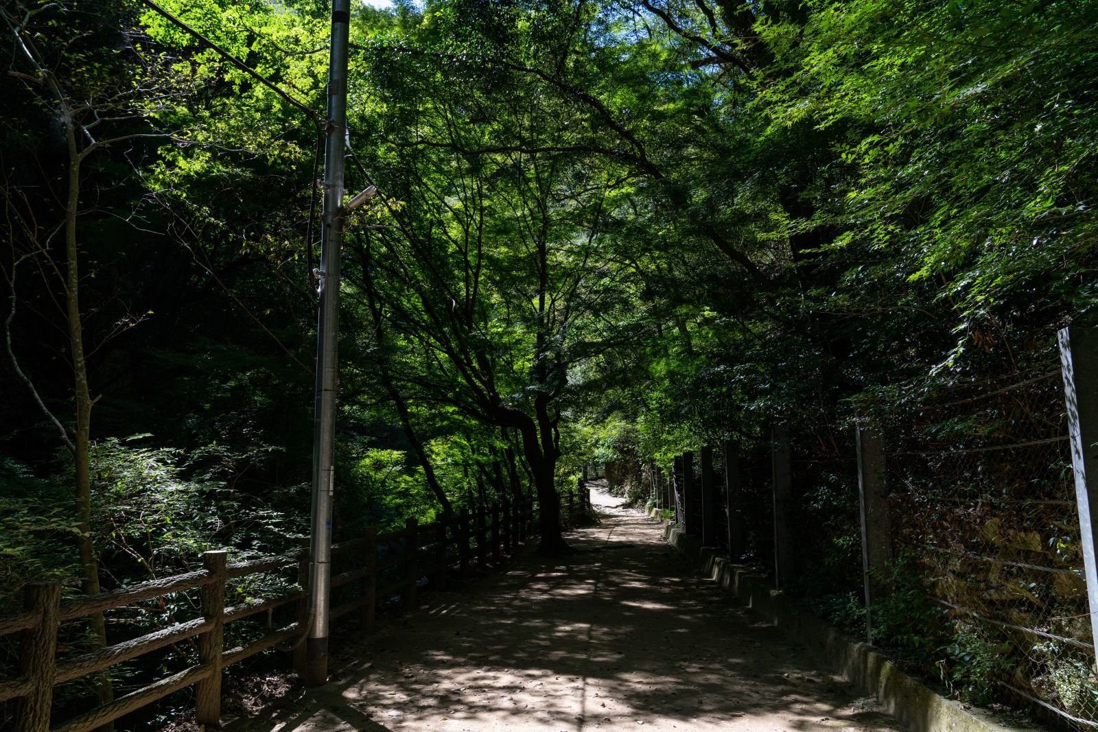 【布引の滝ハイキング】　ついでに重要文化財・布引水源地水道施設を見学する。2　（神戸市）_b0212342_12240129.jpg