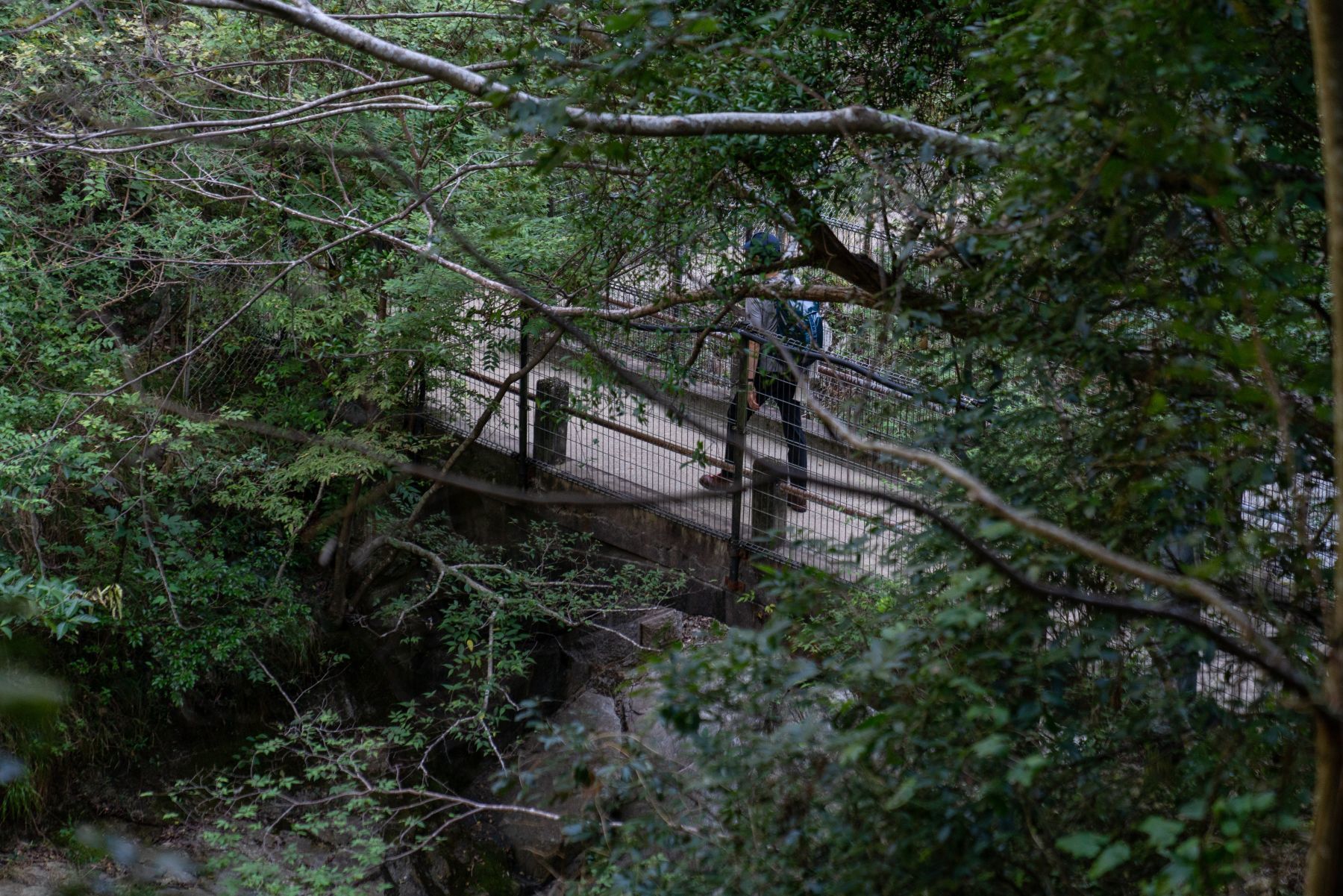 【布引の滝ハイキング】　ついでに重要文化財・布引水源地水道施設を見学する。2　（神戸市）_b0212342_12275959.jpg